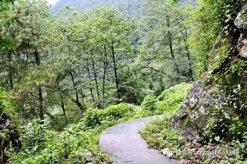 习言道|以中法关系的稳定性应对世界的不确定性